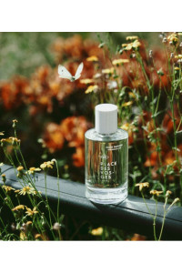 La brume parfumée Place des Vosges