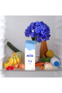 Vase Milk