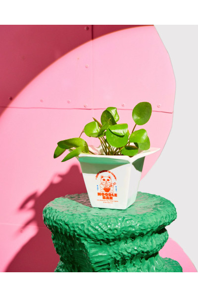 Vase cache pot Ramen