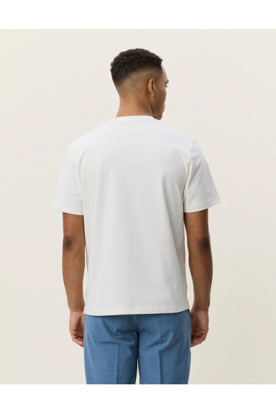 Teeshirt Lemons
