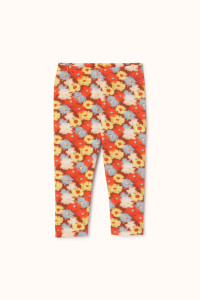 Legging