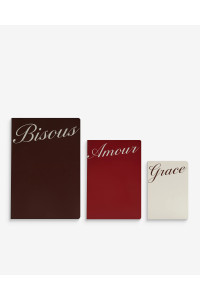 Ensemble de 3 carnets