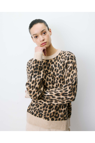 Pull léopard