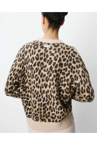 Pull léopard